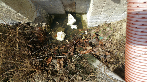 Haus steht nach wie vor im Wasser